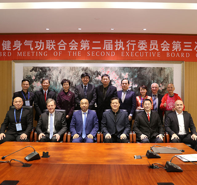 国际气联第二届执委会第三次会议顺利召开