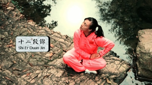 Health Qigong · Shi Er Duan Jin